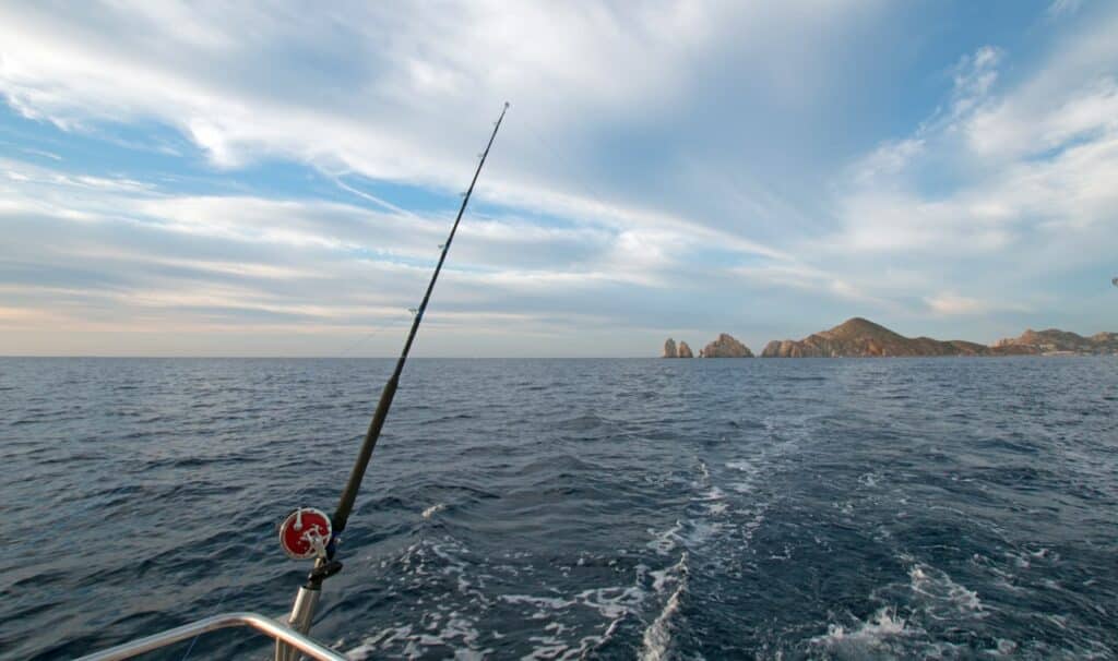 WHATISTHEBESTSEASONTOFISHINLOSCABOS