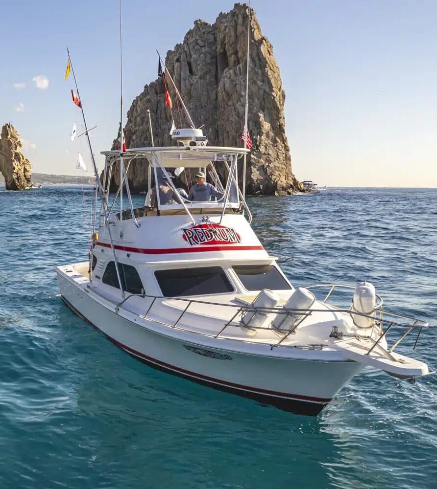 Sportfishing in Cabo