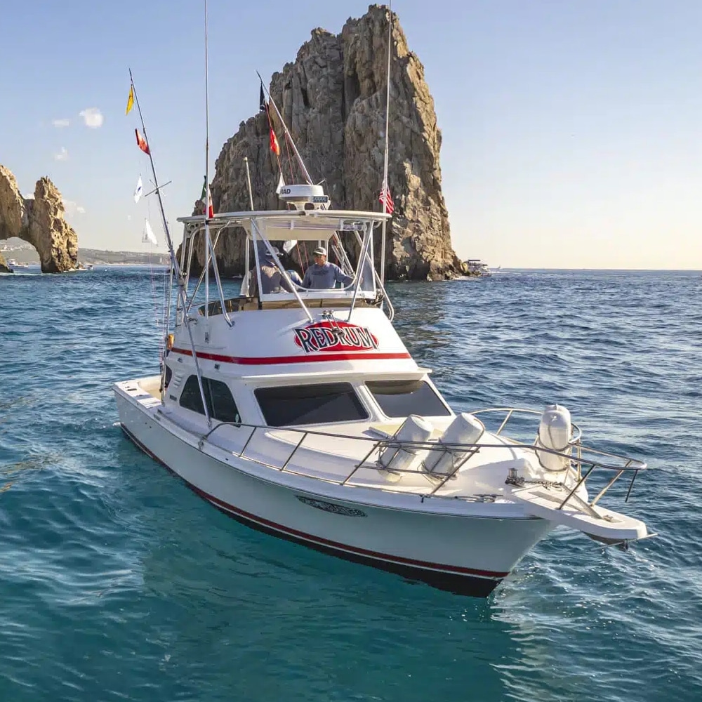 Sportfishing in Cabo