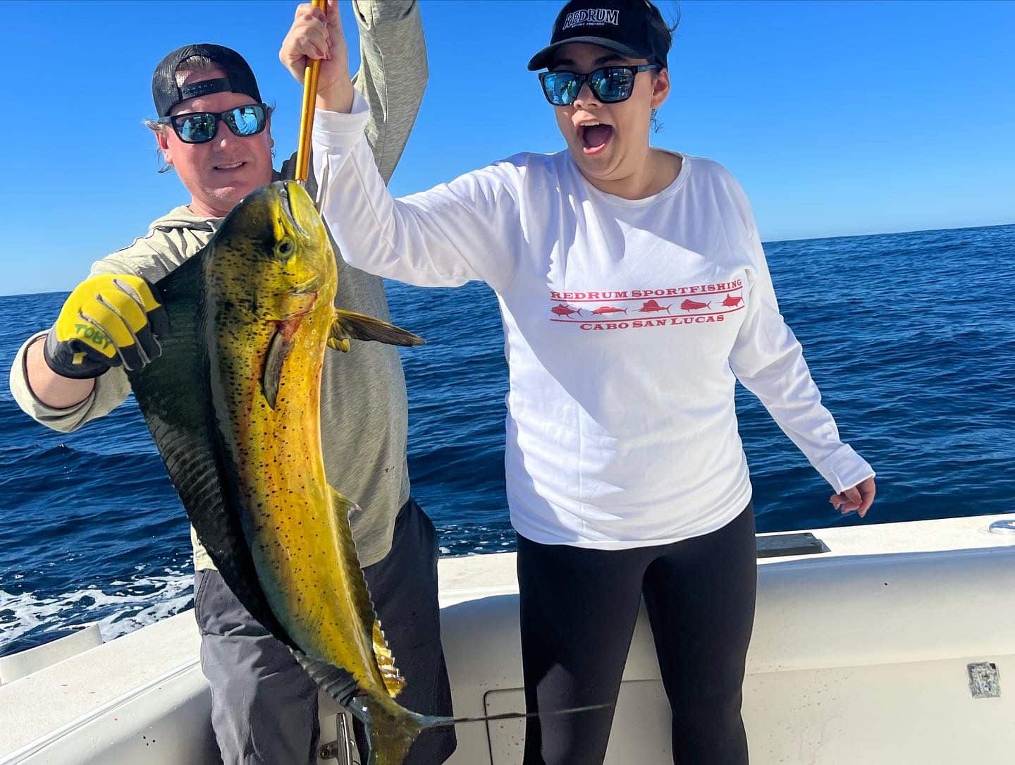 Dirodo Fish Dorado fish also known as mahi-mahi Redrum Cabo.