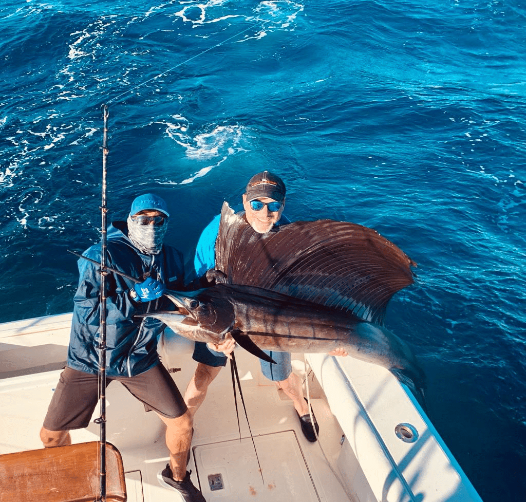 Billfish in Cabo