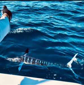Best Fishing tips