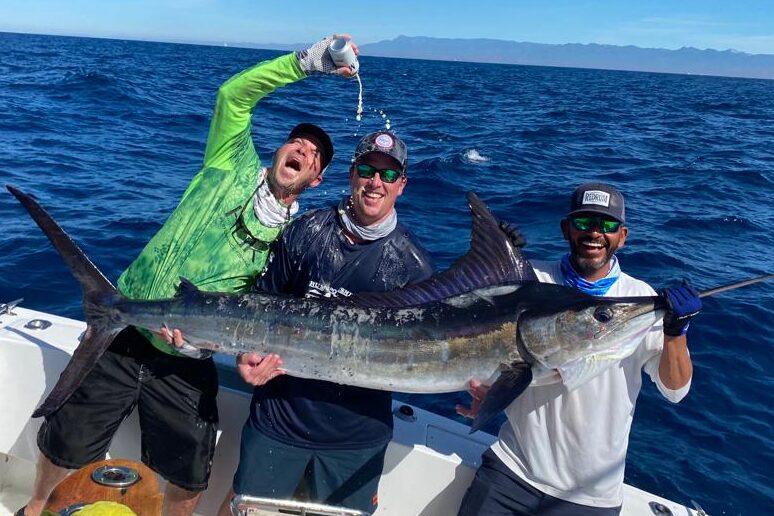 Marlin in Cabo