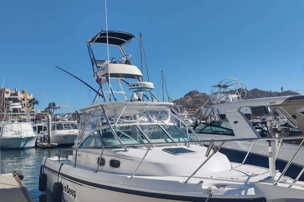 Affordable charter in Cabo