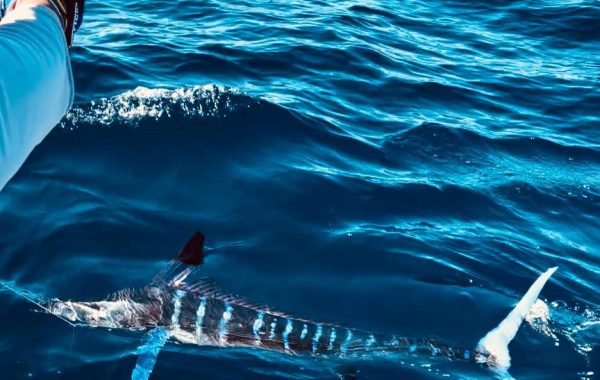 Best Fishing tips Best Fishing tips