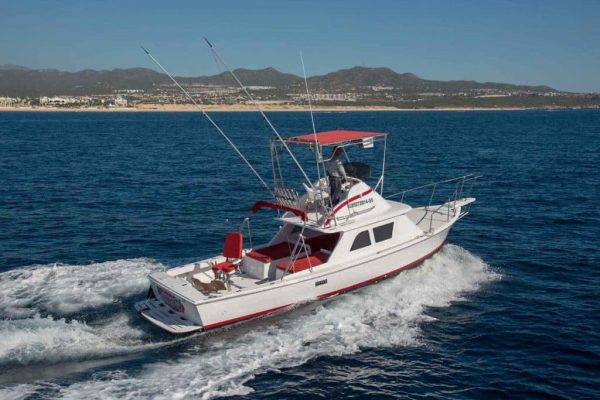 Cabo Fishing