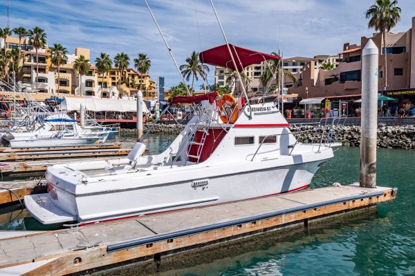 Cabo fishing at its best