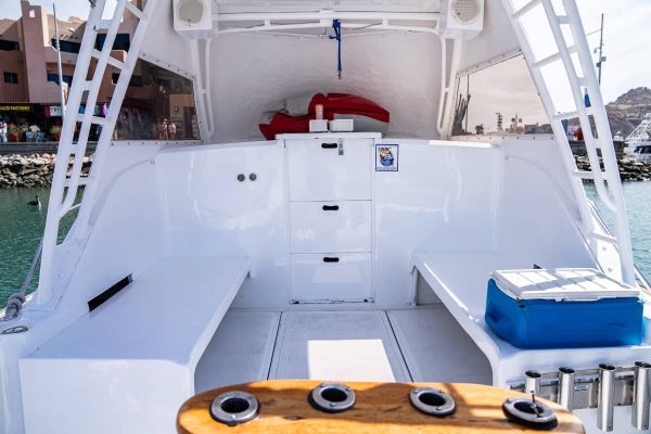 Cabo fishing at its best