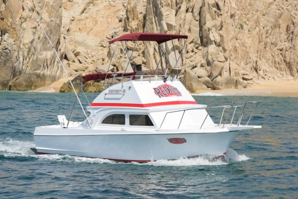 Cabo fishing at its best
