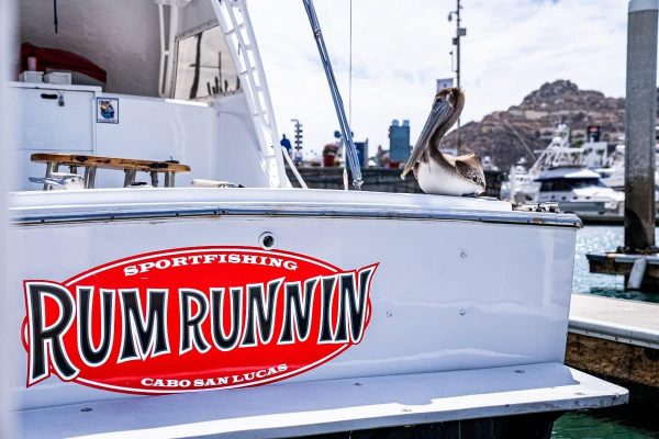 Charter boats Cabos