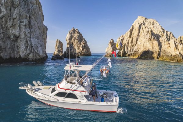 Oso Blanco 1 Sportfishing in cabo