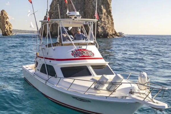Sportfishing in Cabo