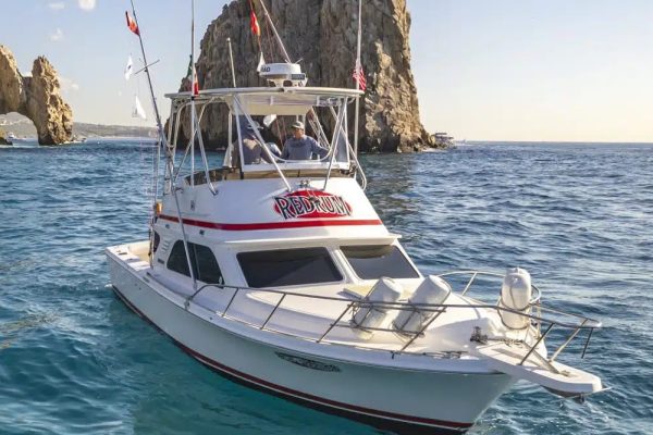 Sportfishing in Cabo