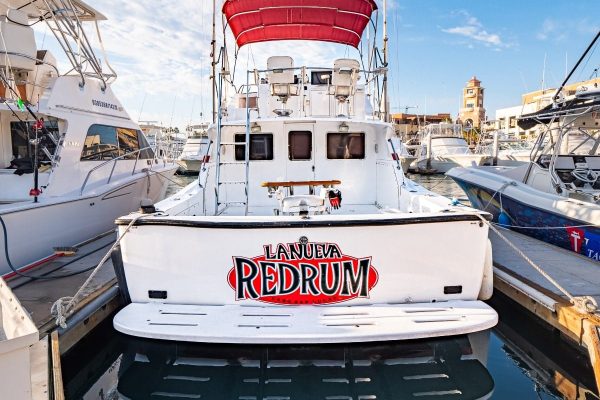 Sportfishing in Los Cabos (4)-min