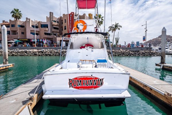 Sportfishing in Los Cabos