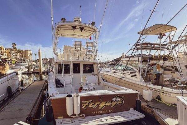 Ferguya Cabo Charters