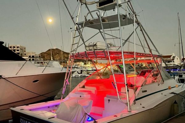 Fishing Charters in Cabo