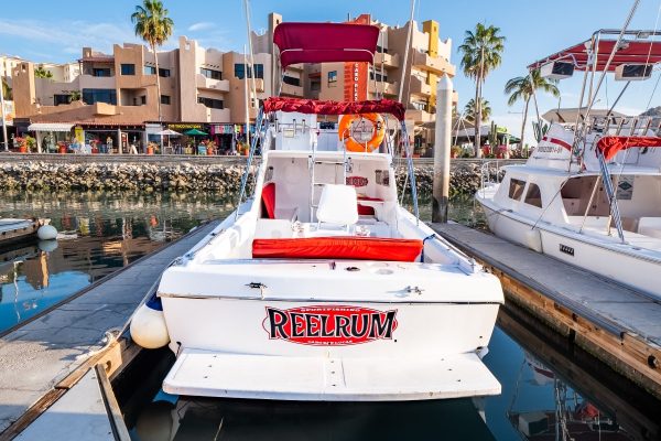 fishing Cabo San Lucas