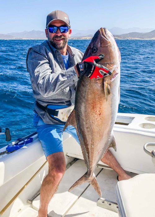 fishing and boats in los cabos