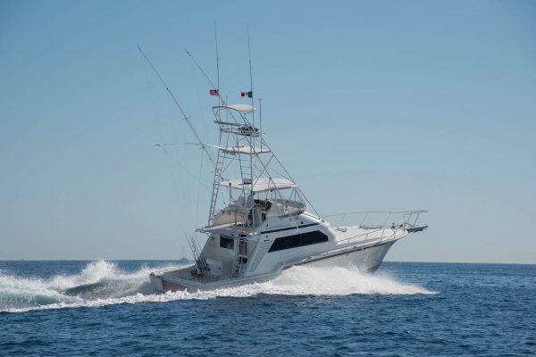 sportfishing in los cabos
