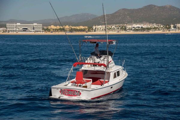 sportfishing in los cabos